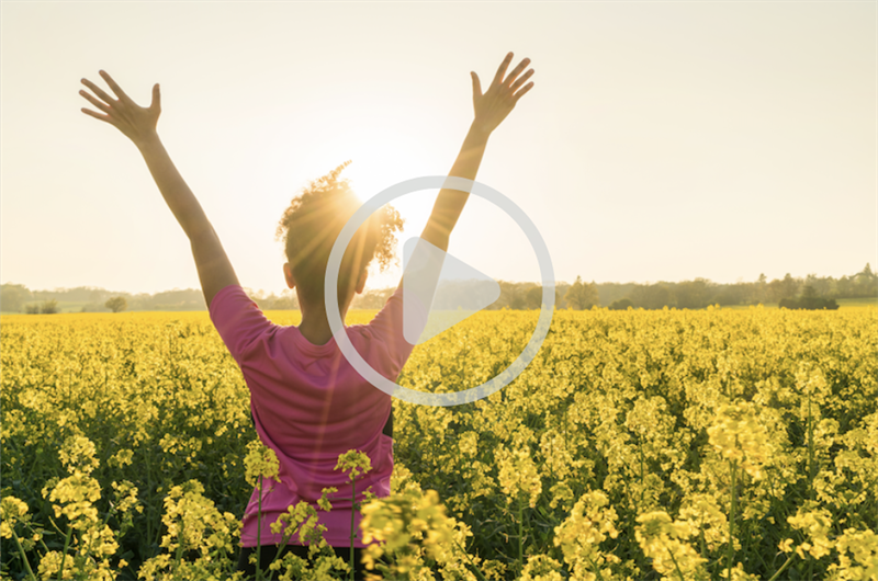 Screenshot 2025-04-17 at 9.07.27 AM.png