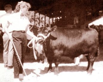 Jan showing her steer. 